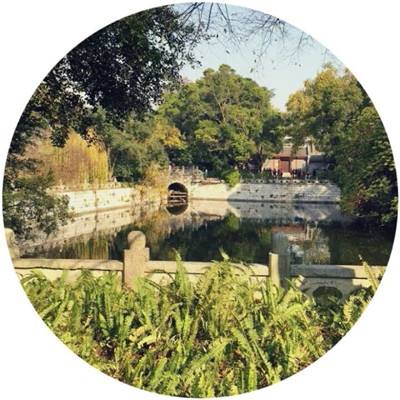 穷图匕见最新版下载